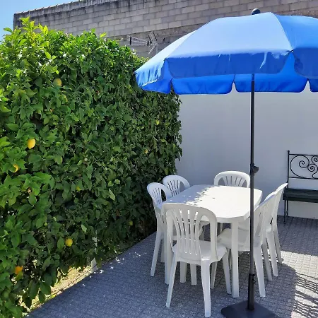 Lemon Tree House *