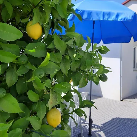 Lemon Tree House * Lousada