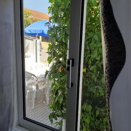 Lemon Tree House *