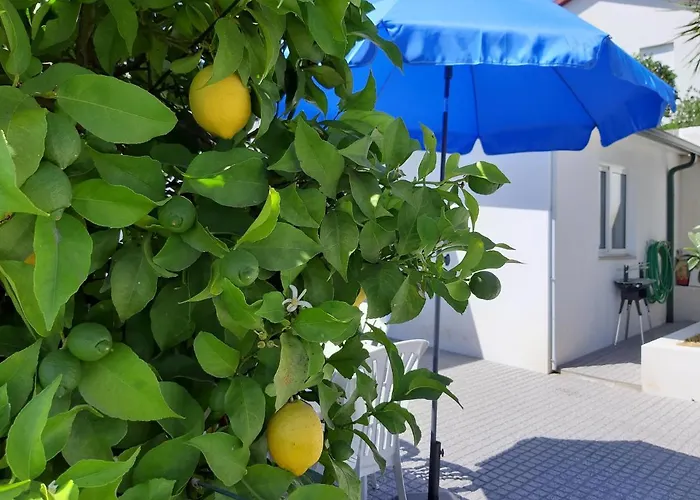 Lemon Tree House * Lousada